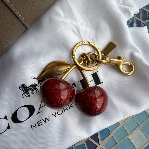 NWT Coach Lana 23 Dark Stone and Cherry Bag Charm - Picture 16 of 16